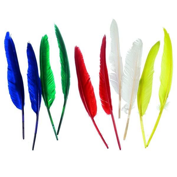 Indianerfeder  bunt sortiert, 10 Stk.