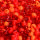 Indianerperlenmix, Ton in Ton opak / transparent, orange sortiert, 100 g