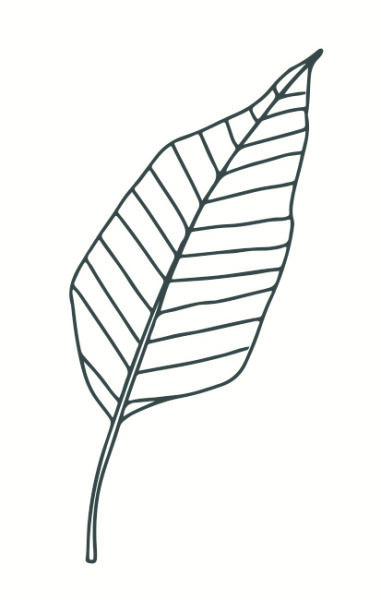 May&Berry Stempel, Blatt stilisiert, weiß