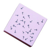 May&Berry Stempel, Pusteblume, nude