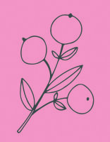 May&Berry Stempel, Beerenzweig, rosa