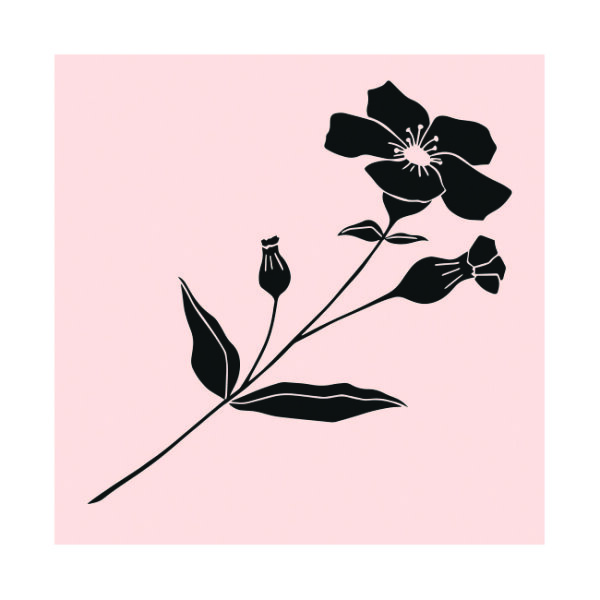 May&Berry Stempel, Wildblume, nude