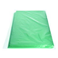 Moosgummiplatte  mint 300 x 450 x 2 mm