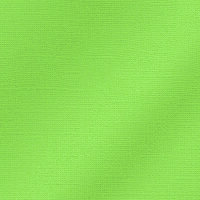My Colors Cardstock, Glimmer 25505, Willow Green, 216...