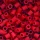 light red