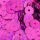 Pailletten, rund, flach  pink hologramm, 40 g ø 6 mm