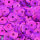 Pailletten, rund, gewölbt  pink hologramm,40 g ø 6 mm