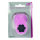 Stanzer M, Blume
