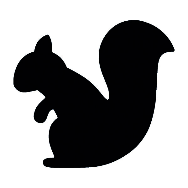 Stanzer M, Eichhörnchen