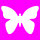 Stanzer M, Schmetterling