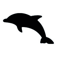 Stanzer M, Delfin