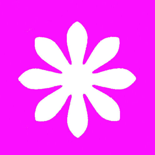Stanzer M, Gänseblümchen