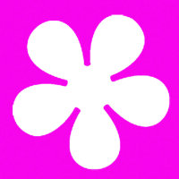 Stanzer S, Retro Blume