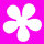 Stanzer S, Retro Blume