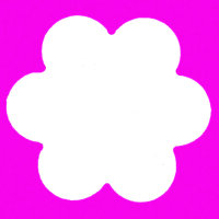 Stanzer S, Blume