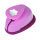Stanzer S, Blume