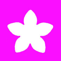 Stanzer XL, Blüte