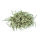 Stecknadeln Eisen vernickelt 500 g