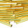 Stiftperlen Silbereinzug  gold, 10 g ø 2 x 30 mm