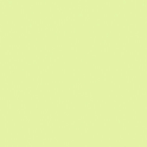 Wachsplatten  creme, 10 Stk.