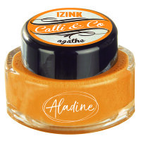 IZINK Calli & Co Calligraphie Tinte 15 ml
