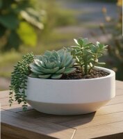 efco White Stone