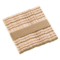 Bastelhölzer zum Stecken roh, 114 x 10 mm 50 St.
