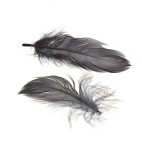 Deko-Federn  grau 10 g ~ 110 Stk.