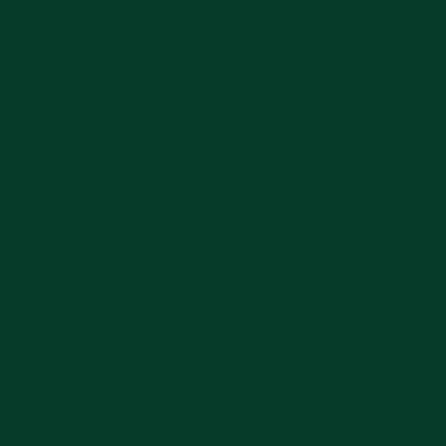 EFCOLOR, Farbschmelzpulver, dunkelgrün, 10 ml