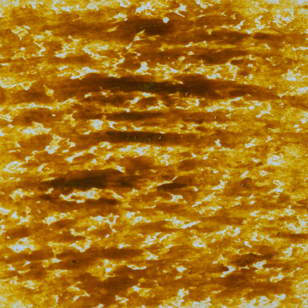 Farbpigment-Stäbchen, für Wachs, naturgelb, 2 Stk.