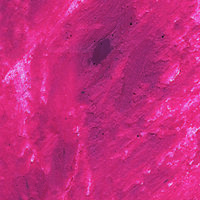 Farbpigment-Stäbchen, für Wachs, altrosa 20 St.