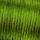 Flechtkordel Satin  grün 2 mm / 6 m