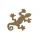 Gecko